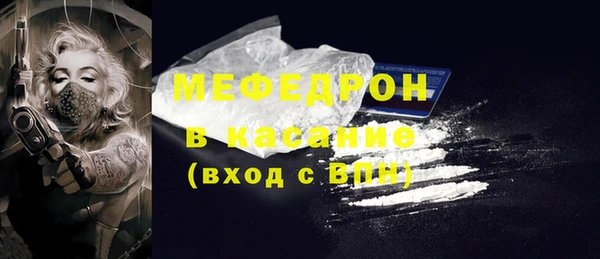 крисы Бородино